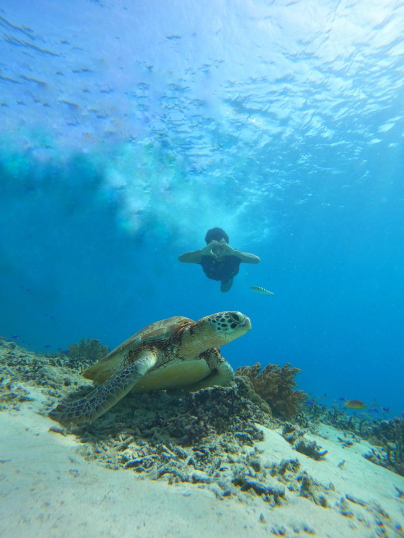 One Day Trip Gili Trawangan